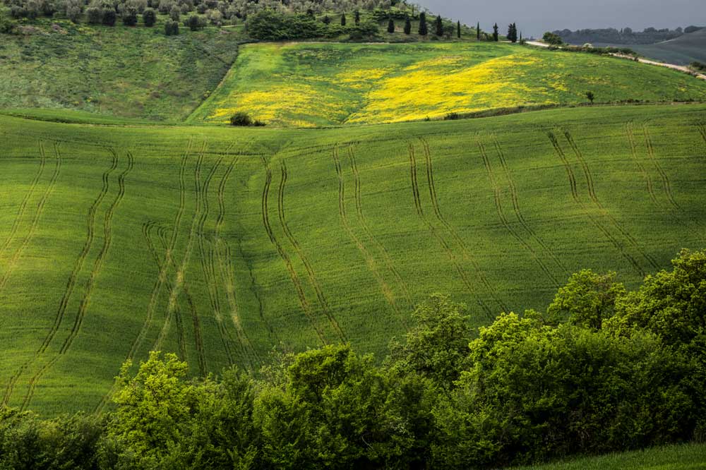 холмы в Тоскане