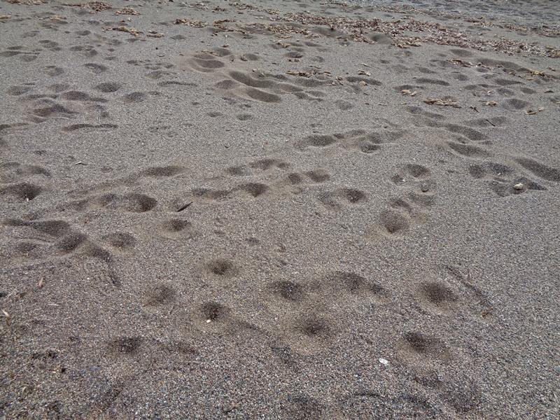 песок на пляже Ремаёло