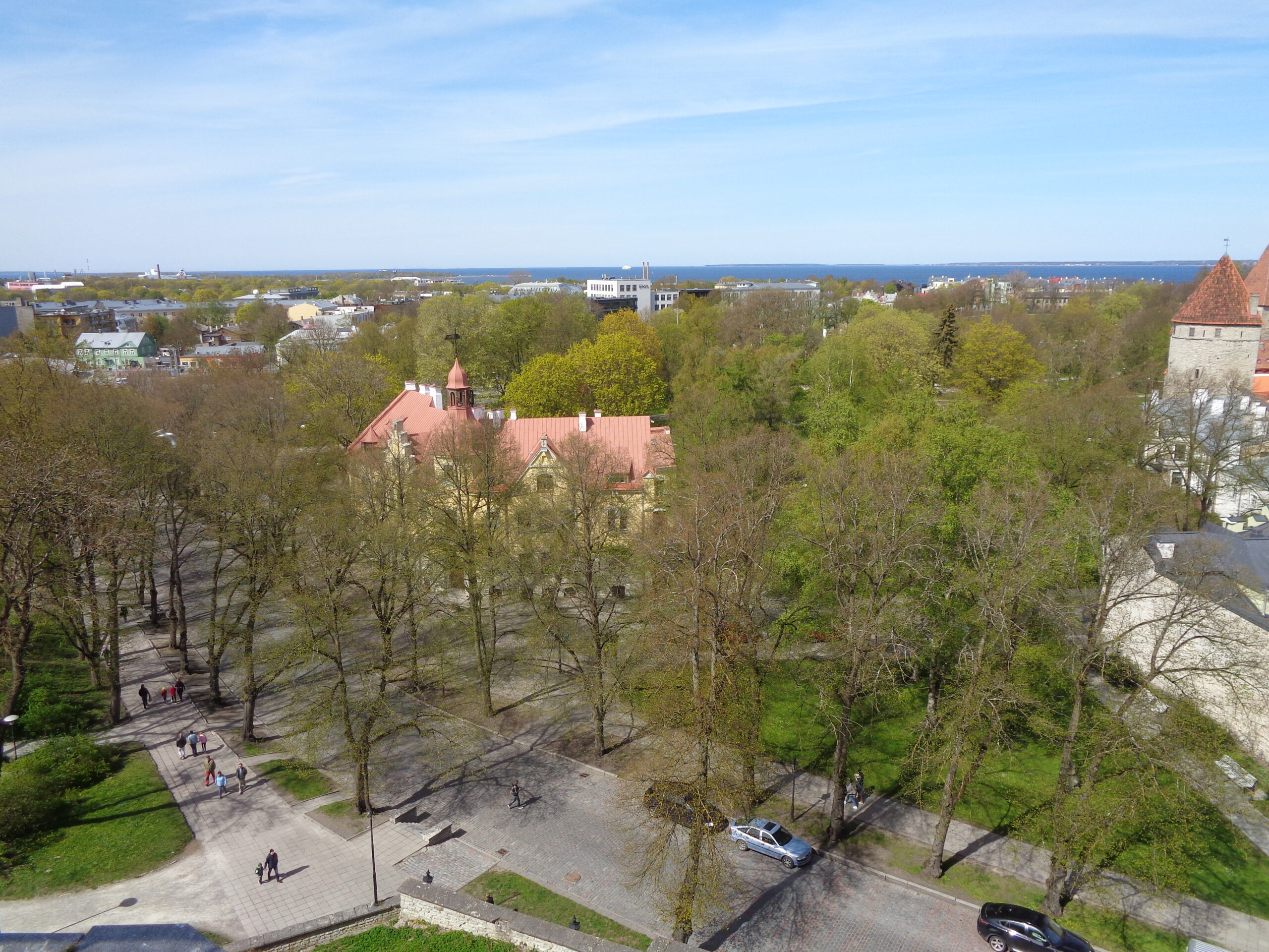 Таллин - зеленый город