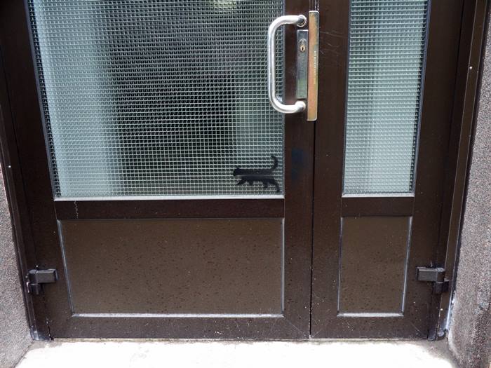 изображение кошки на двери