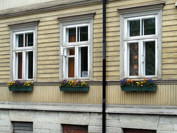 старые окна в Таллине