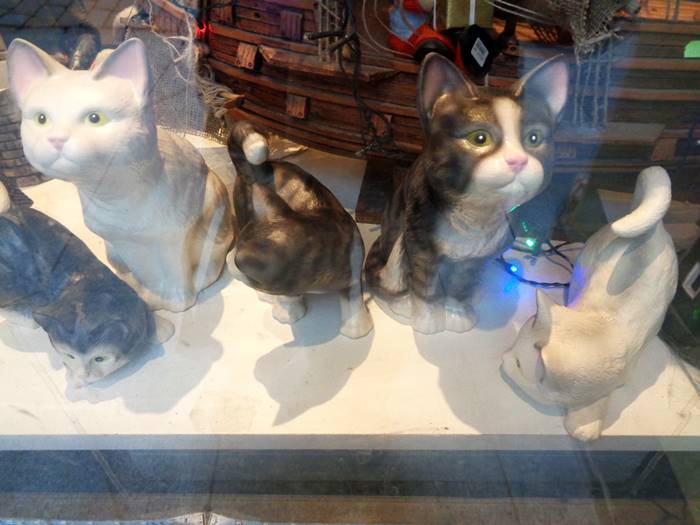 котики на витрине магазина в Таллине