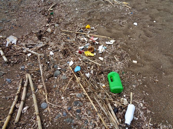 пластик на пляже