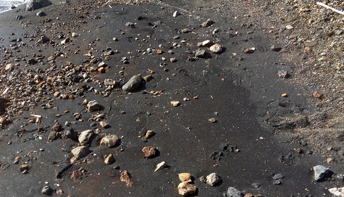 черный песок на пляже Терранера