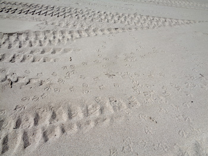 следы на песке