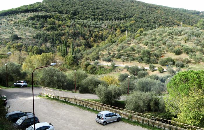 оливковые рощи возле Петройо