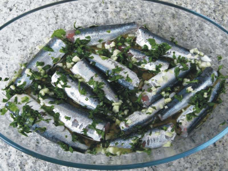 sardiny-сардины