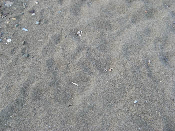 Пляж Баньяйа - песок