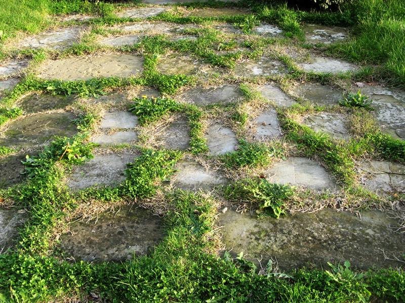 трава возле замка Гальбино