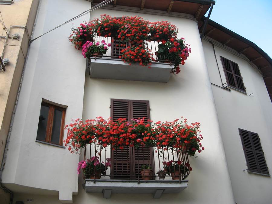цветы на балконах в Поппи
