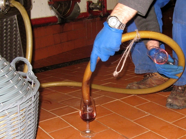 как пробуют вино в Италии
