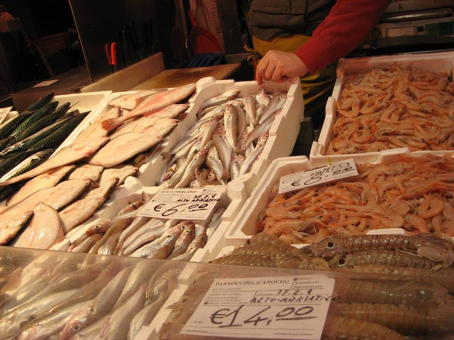 цены на морепродукты