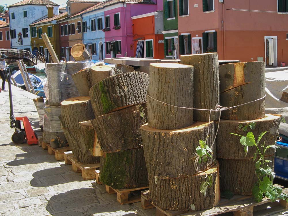 заготовка дров летом на острове Бурано