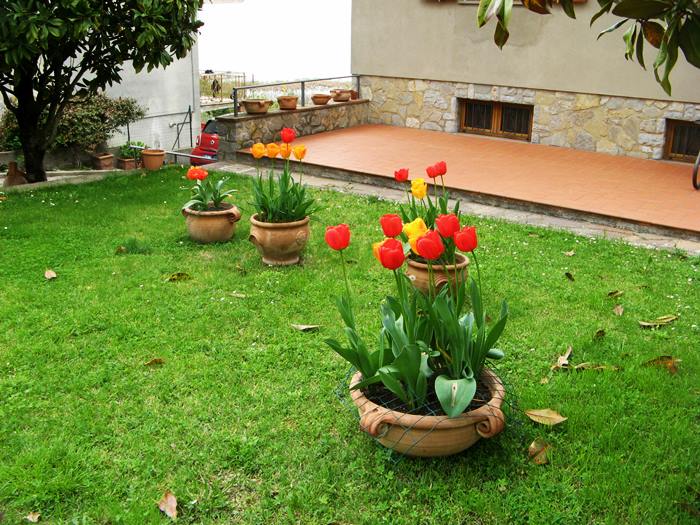 погодпа в апреле Италия - цветение тюльпанов