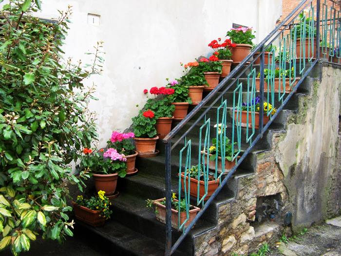 Сан Савино Умбрия - цветы на лестнице дома