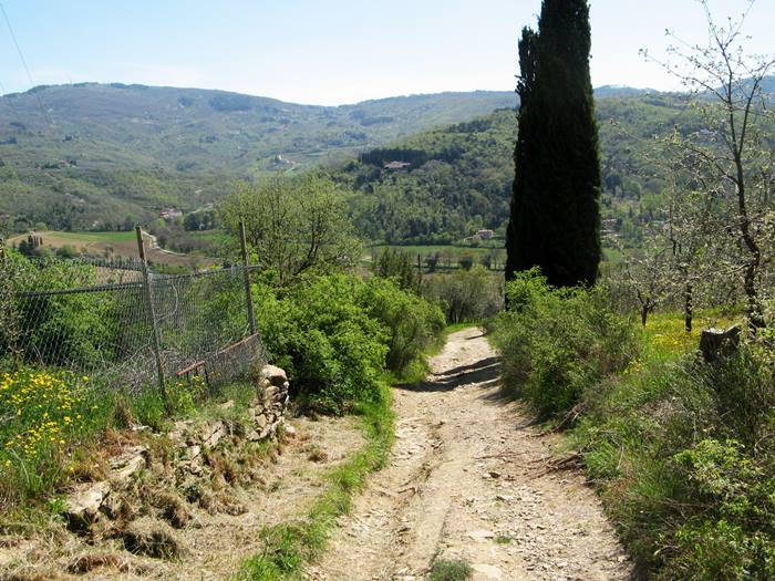 весна в Тоскане - сельская дорога