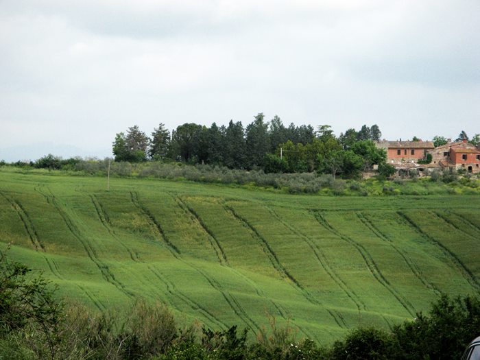 Тоскана в мае 2018