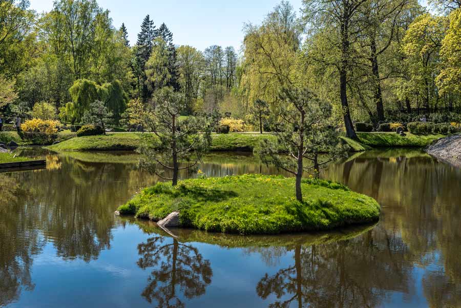 японский сад островок в пруду