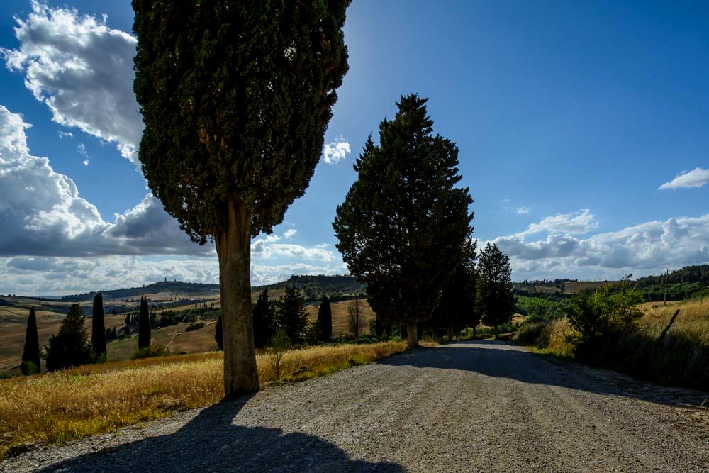 Val_D'Orcia5_Toscana